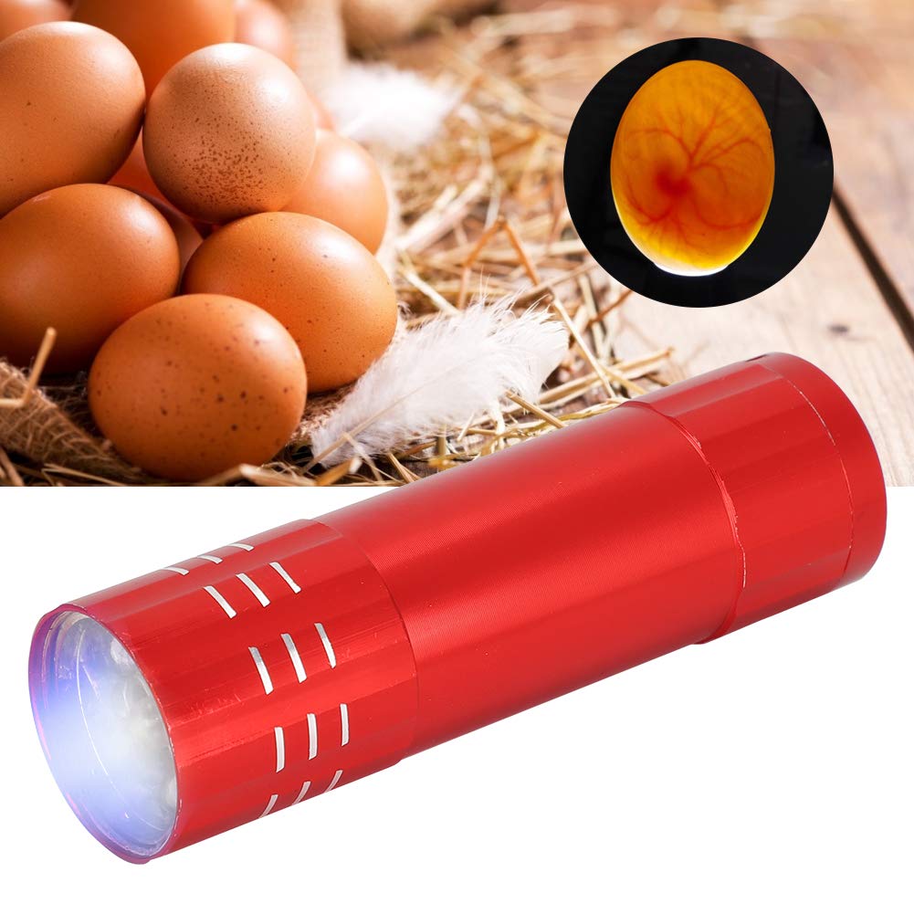 Egg Candler, Cool Light Portable Egg Candling Lamp with High Intensity Light, for Chicken, Goose, Duck, Eggs
