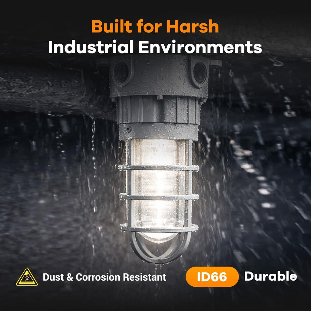 LED Explosion Proof Vapor Tight Light, Wall Mount, O Series