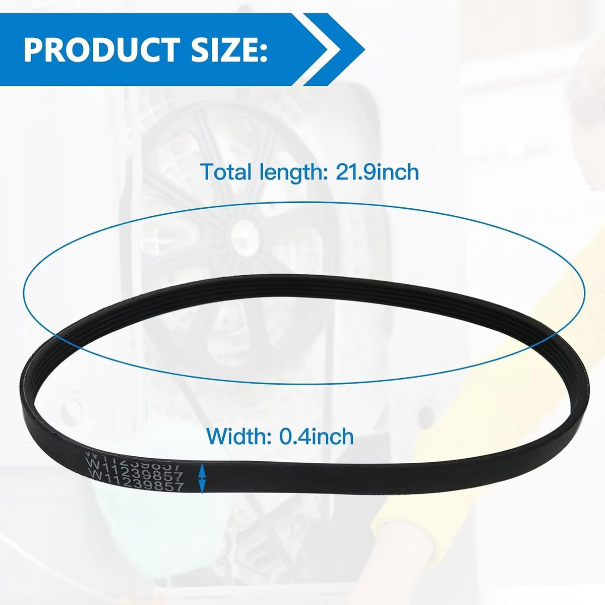 WE12M29 Replacement Washer Drive Belt For wtw6120hw0 wtw6120hw1 wtw6120hw2 ywet4027hw1
