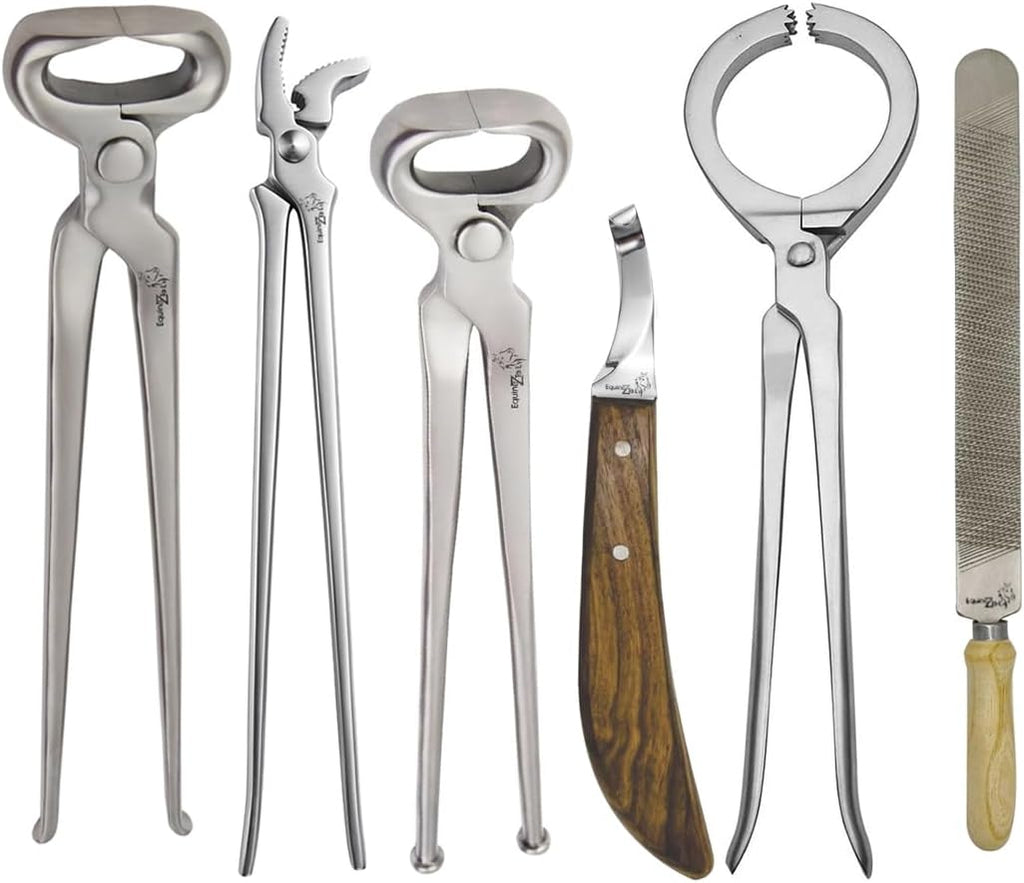 6PC Complete Horse Farrier Tool Kit – Professional Hoof Care Set with Hoof Rasp,Hoof Bot Knife, Horseshoe