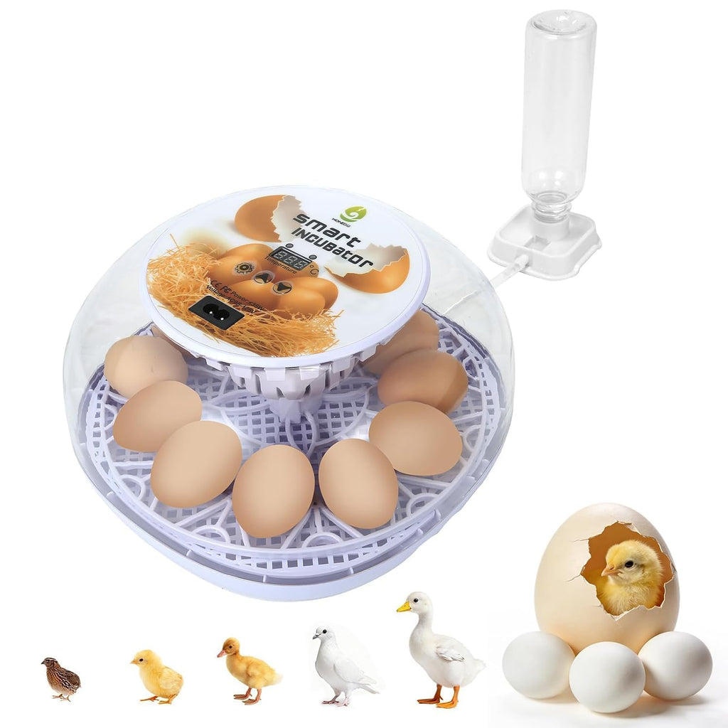 Gen I - 12 Egg Automatic Incubator, Steady Humidity with Auto-Refill, Stable Temp Control, Auto Egg Turning, Candler