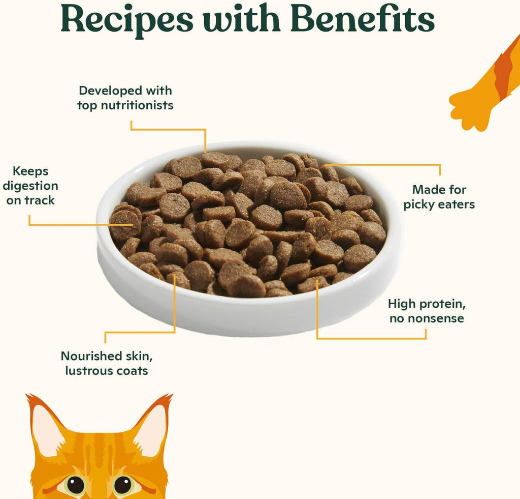 Kitten Dry Kibble Infused with Bone Broth, Healthy High Protein Cat Food, Cage-Free Chicken and Chicken Liver, 2lb Bag