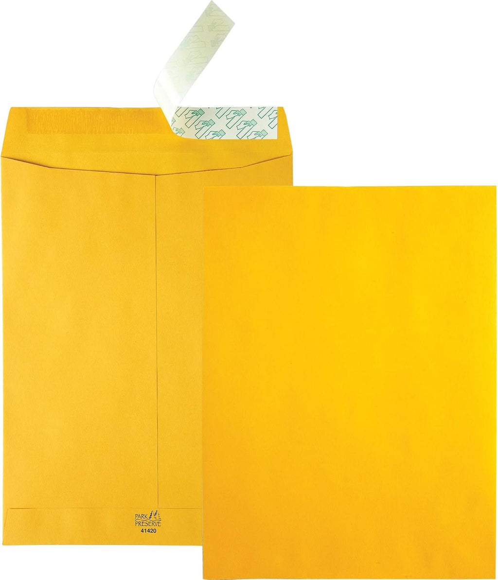 Redi Strip Catalog Envelope, 9 x 12, Kraft, 250/Box (QUA41420)