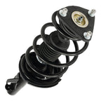Torchtree Front Struts Assembly for 2012-2013 Ford Focus Set of 2