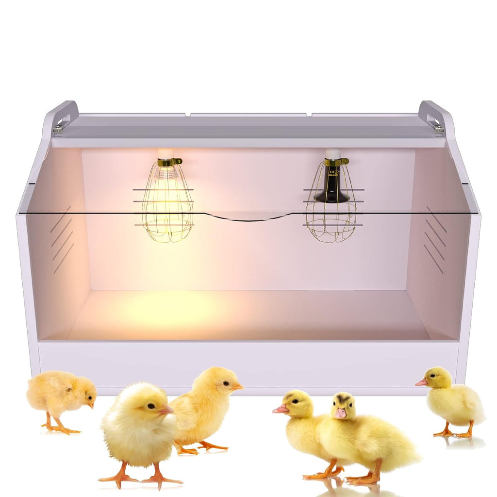Brooder Box for Chicks