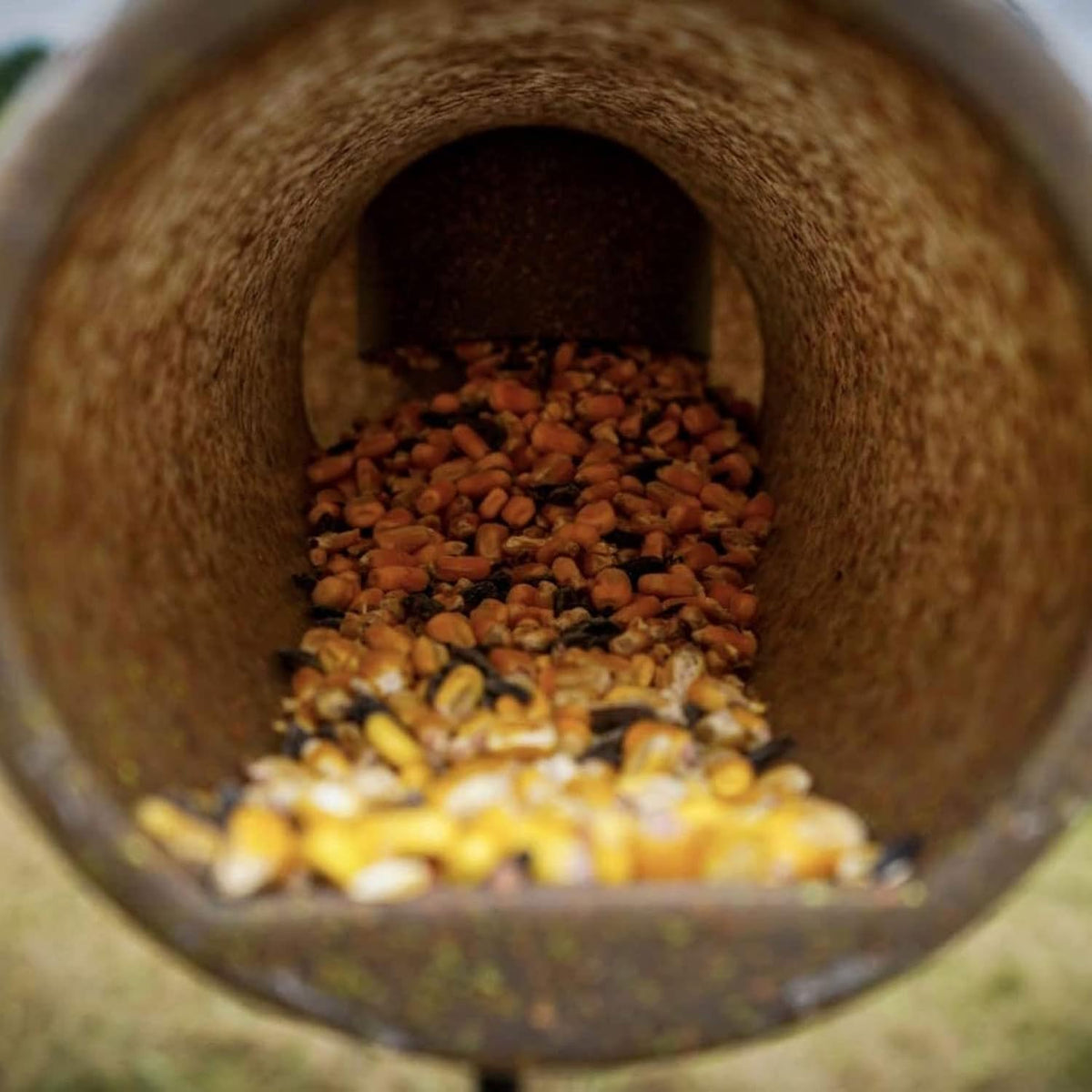 Protein 4 Way Gravity Head | Hunting Durable Gravity Feed Delivery System with 4 Feeding Tubes for 4 Legged Game