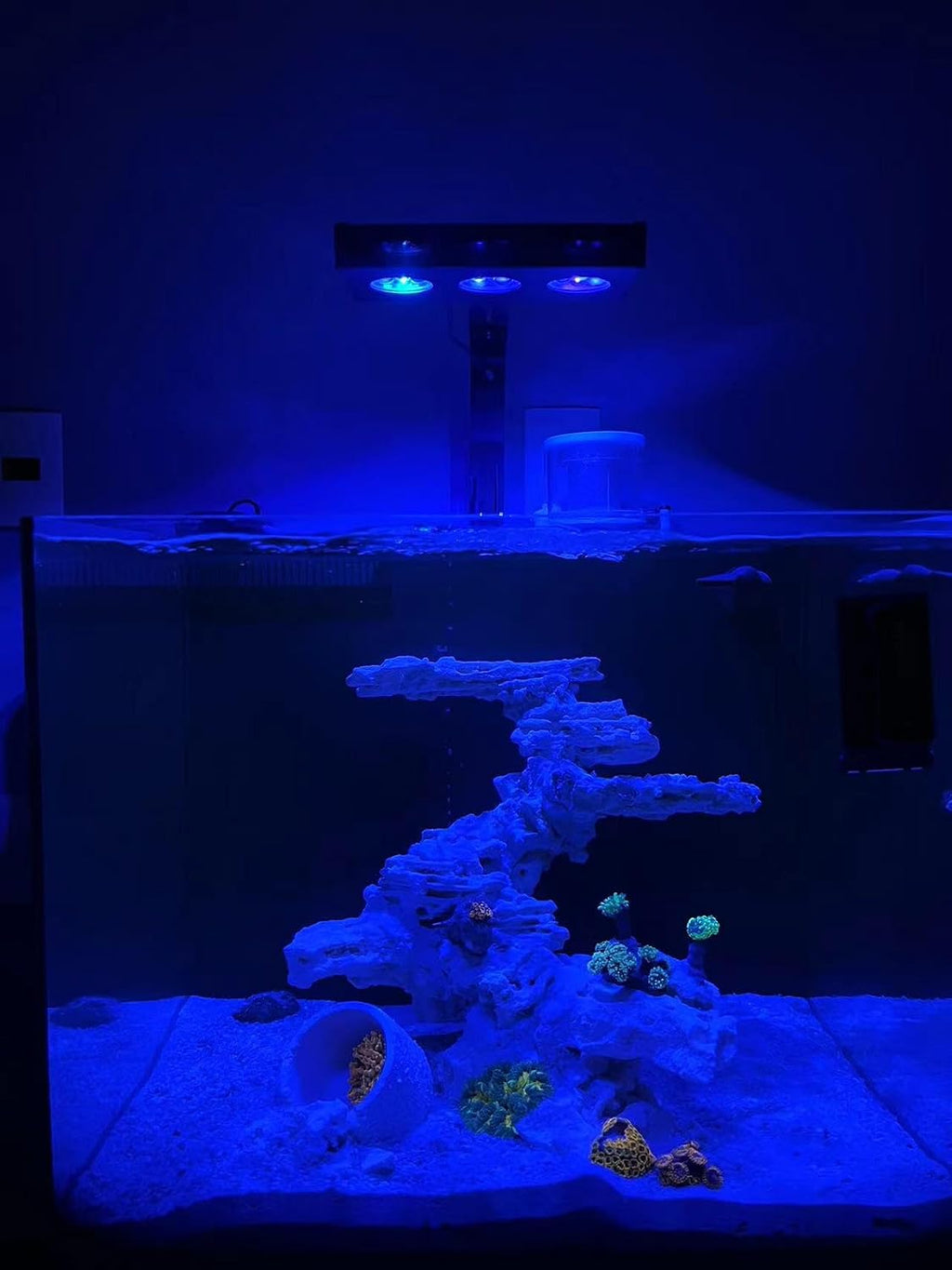 Aquarium Light 30W Reef Light for Coral SPS LPS Saltwater Light