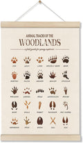 Woodland Tracks Poster Hanger Frame, Canvas Artwork Woodland Nursery, Jungle Nursery Decor, Animal Tracks Field Guide