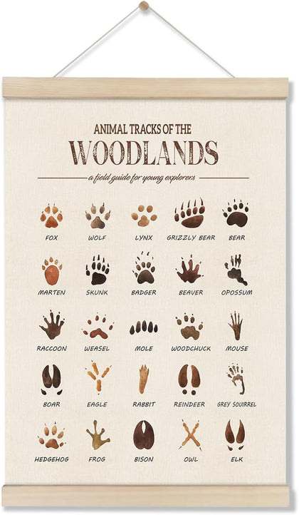 Woodland Tracks Poster Hanger Frame, Canvas Artwork Woodland Nursery, Jungle Nursery Decor, Animal Tracks Field Guide