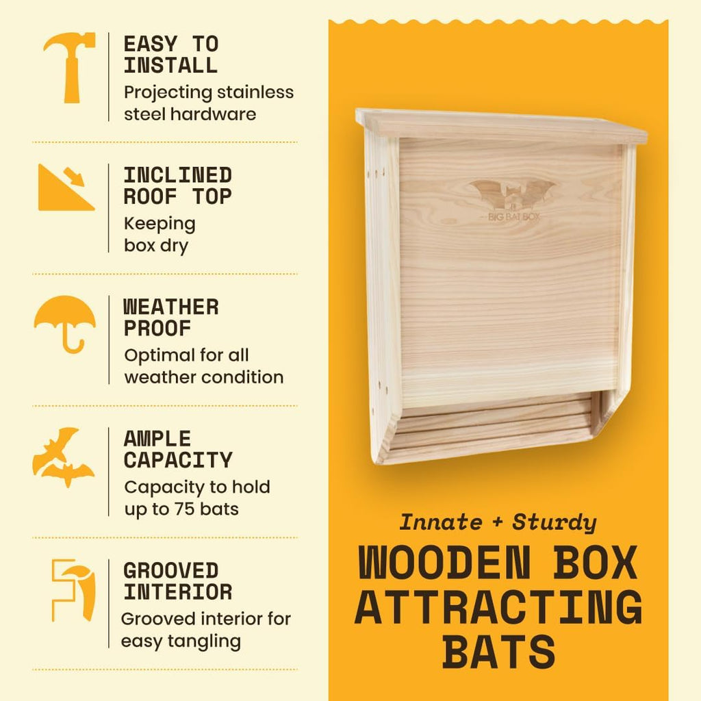 Bat House Kit for Outdoors - Large 2 Chamber, Cedar, Upto 75 Bats