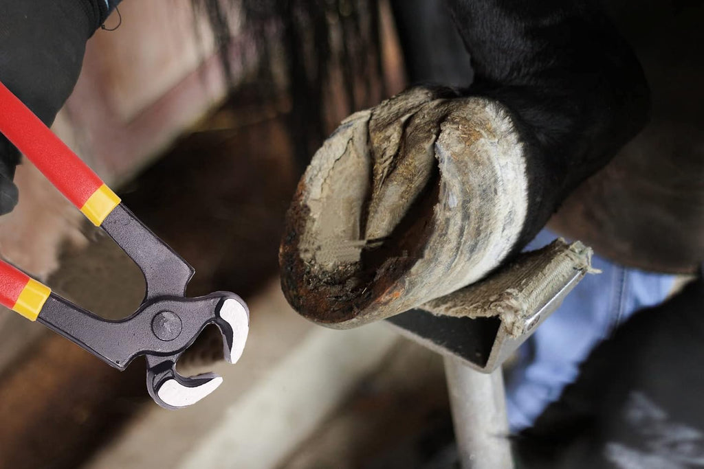 Hoof Nipper 8" - Horse Farrier Tool for Goats Sheep Pigs,Farrier Nippers with Plastic Grip. (8")