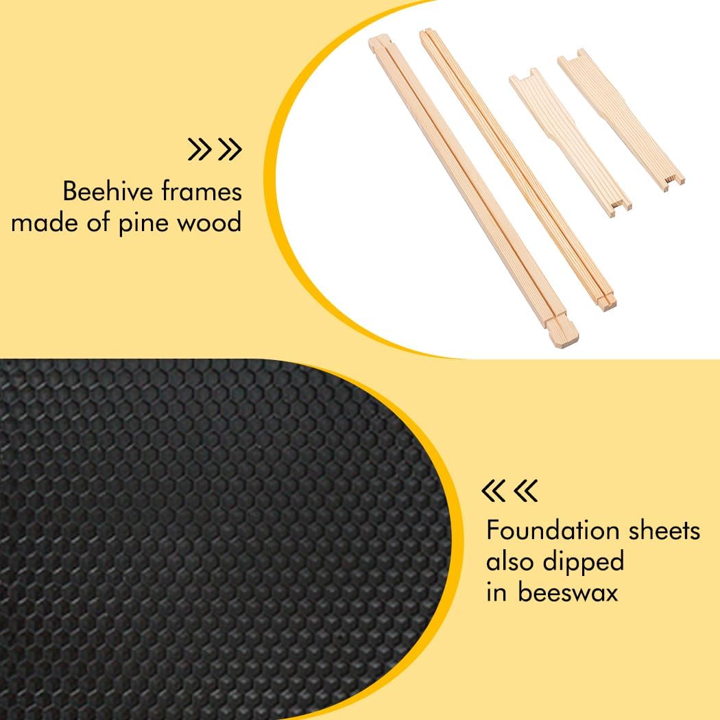 Medium Beehive Frames and Foudations Kit,10 Pack Super Bee Frames with Beeswax Coated Plastic Foundations for