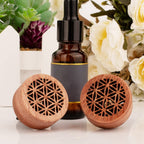 Essential Oil Car Diffuser, 2 PCS Car Aromatherapy Wood Diffuser with Vent Clip