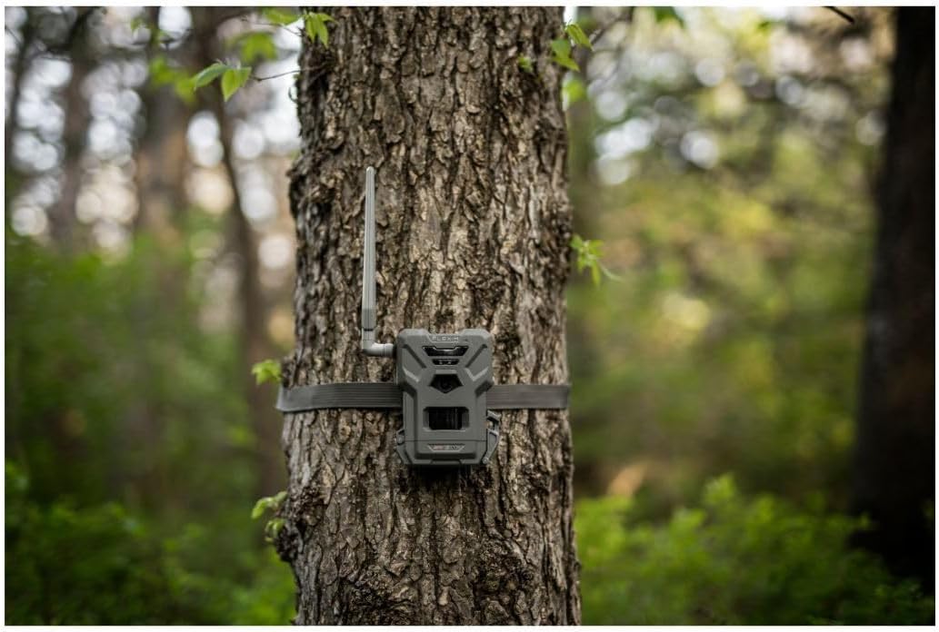 Flex-M Twin Pack Cellular Trail Cameras - Best Hunting Accessories, No WiFi Needed, GPS, Night Vision, Dual-Sim LTE