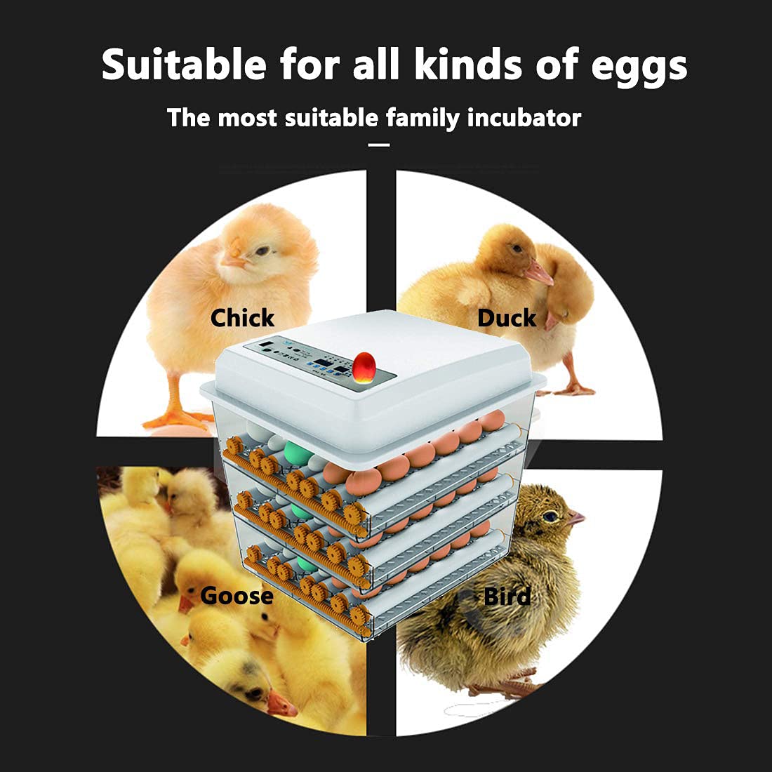 Automatic Egg Incubator 150~180 Egg Incubator Digital Automatic Hatcher with Egg Turning for Chickens Ducks Goose Birds