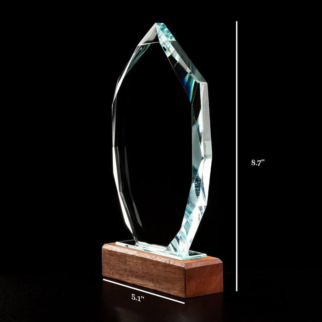 Employee Appreciation Gifts - Personalized Employee Recognition Crystal Awards - 8.7'' Engraved Glass Trophy, Thank