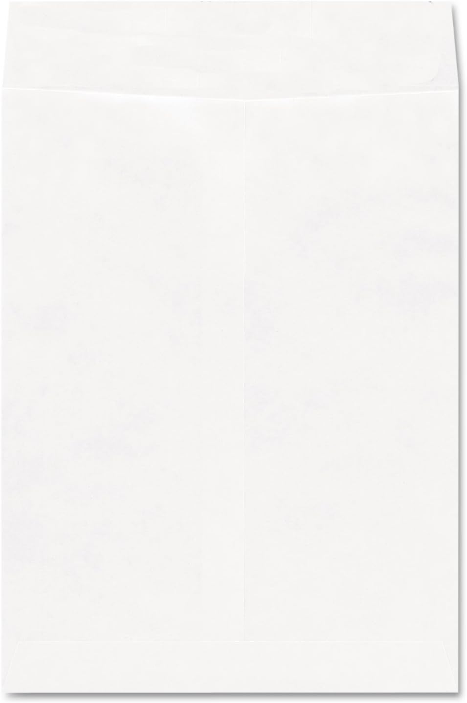 19006 Tyvek Envelope, 9 x 12, White, 100/Box