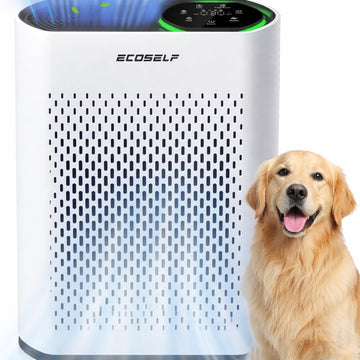 Air Purifiers