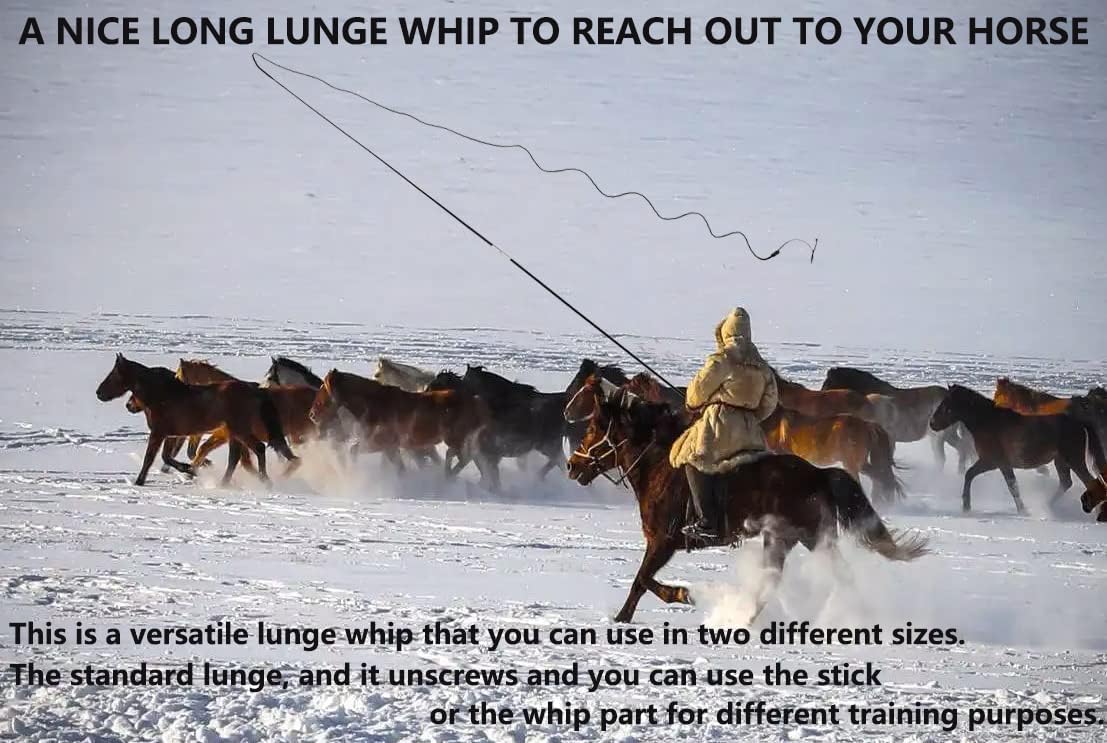Horse Lunge Whip Training Stick and Whip 5.9 Feet Long Whip+6.3 Feet Drop for Dogs Horses(Can Detachable into Two