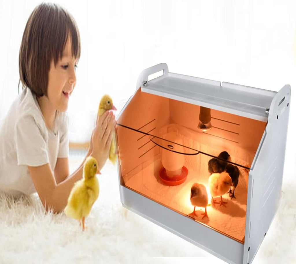 Intelligent Brooder Box 10-15 Newborns Chicks Quail Birds Egg Incubator