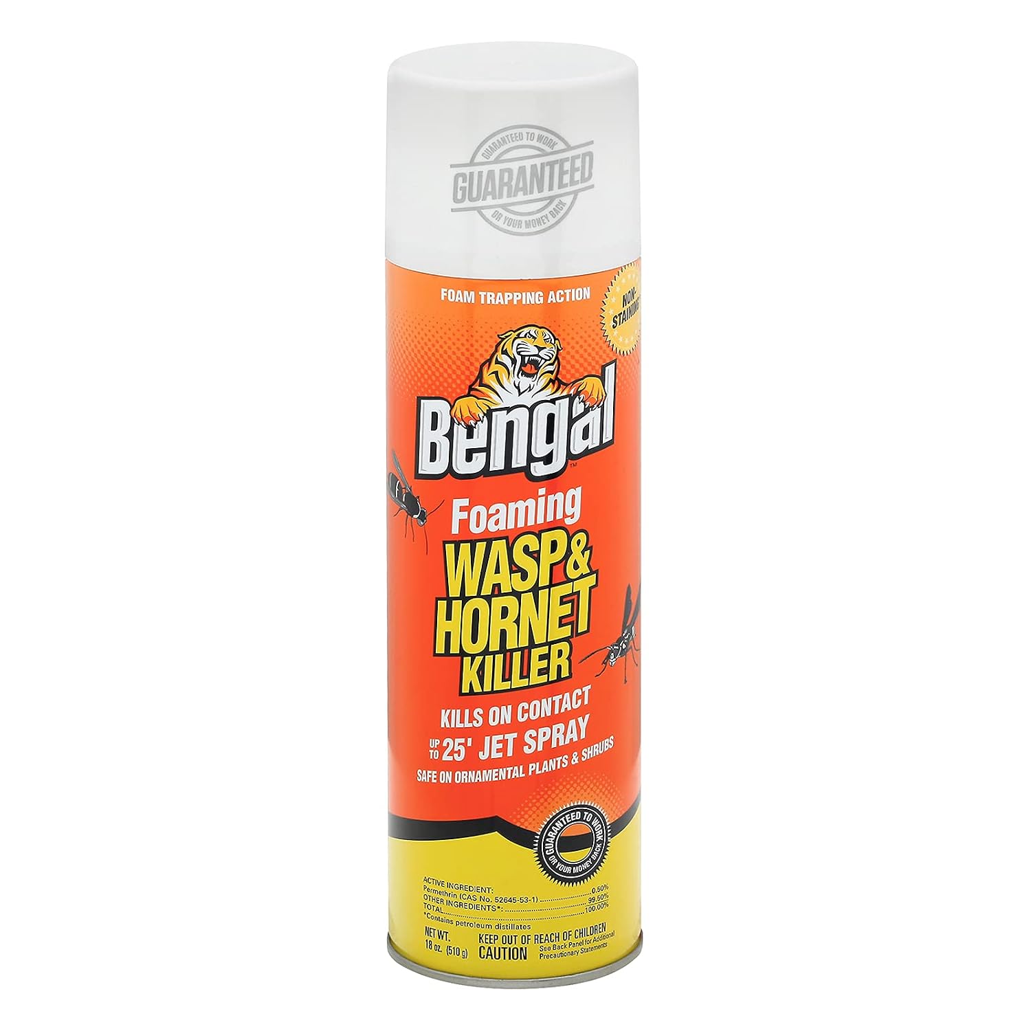 Foaming Wasp and Hornet Killer – Long Range Wasp & Hornet Spray with Foam Trapping Action – Non-Staining Outdoor Long