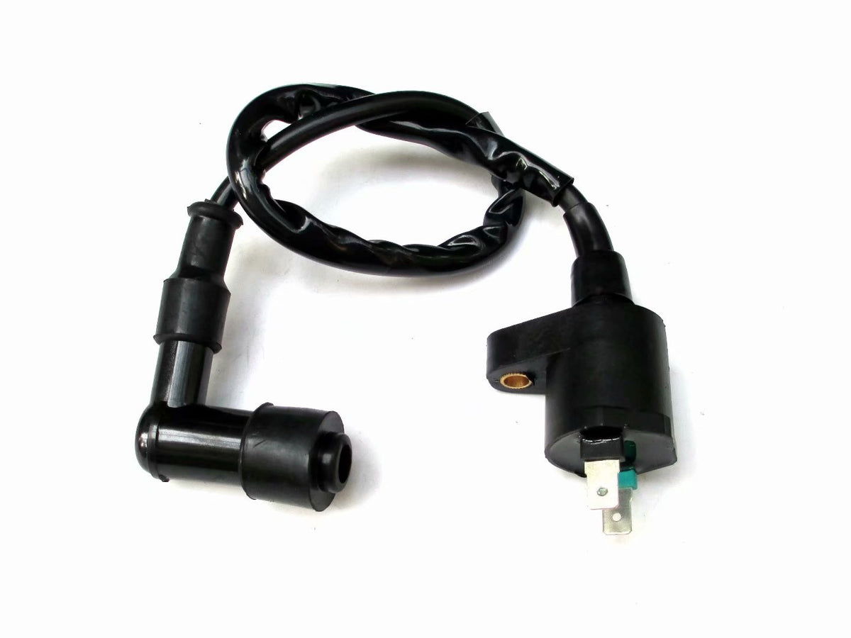 Ignition Coil For Kawasaki KLX 110 2002 2003 2004 2005 2006 2007 2008 2009 2010 2011