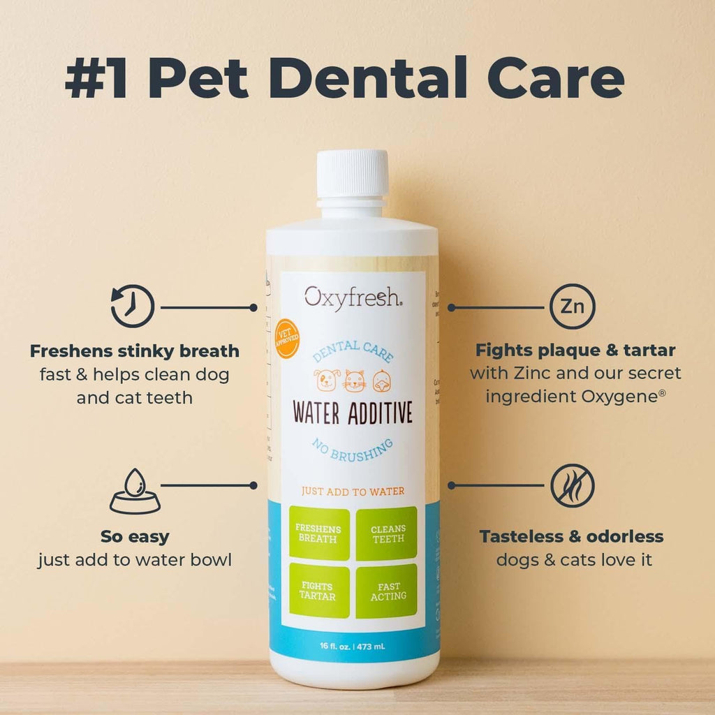 Premium Pet Dental Care Solution Pet Water Additive: Best Way to Eliminate Bad Dog Breath and Cat Bad Breath - Fights