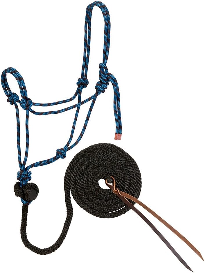 Weaver Leather Diamond Braid Rope Halter and Lead, Black/Hurricane Blue