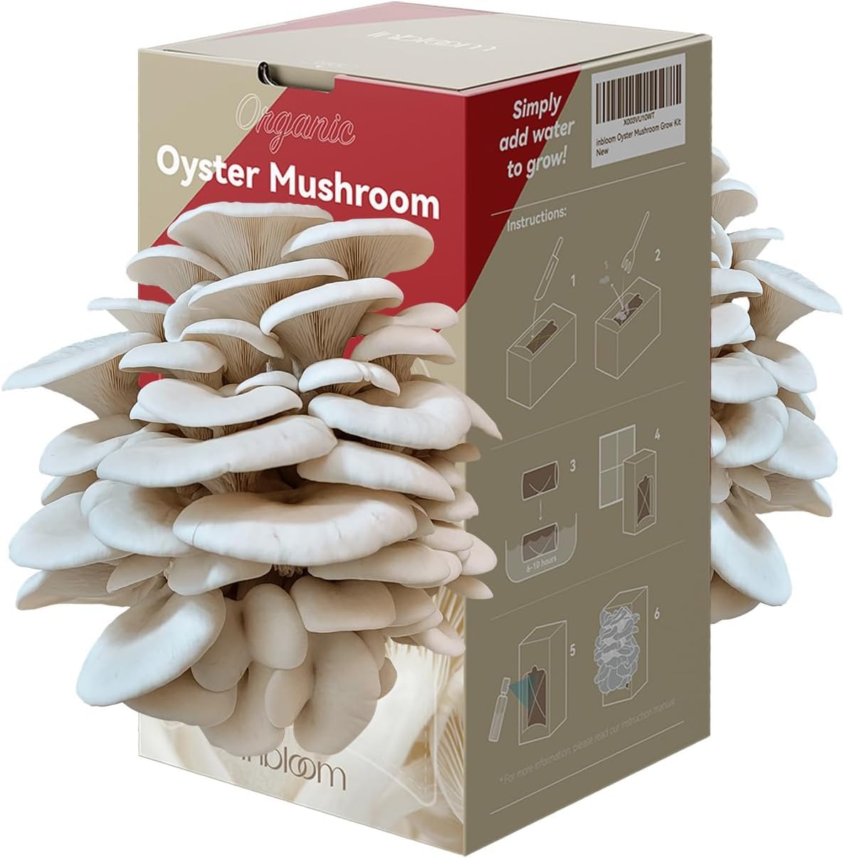 Organic Oyster Mushroom Growing Kit with Spray, Harvest Fresh Mushrooms at Home, Beginner Friendly & Easy to Use