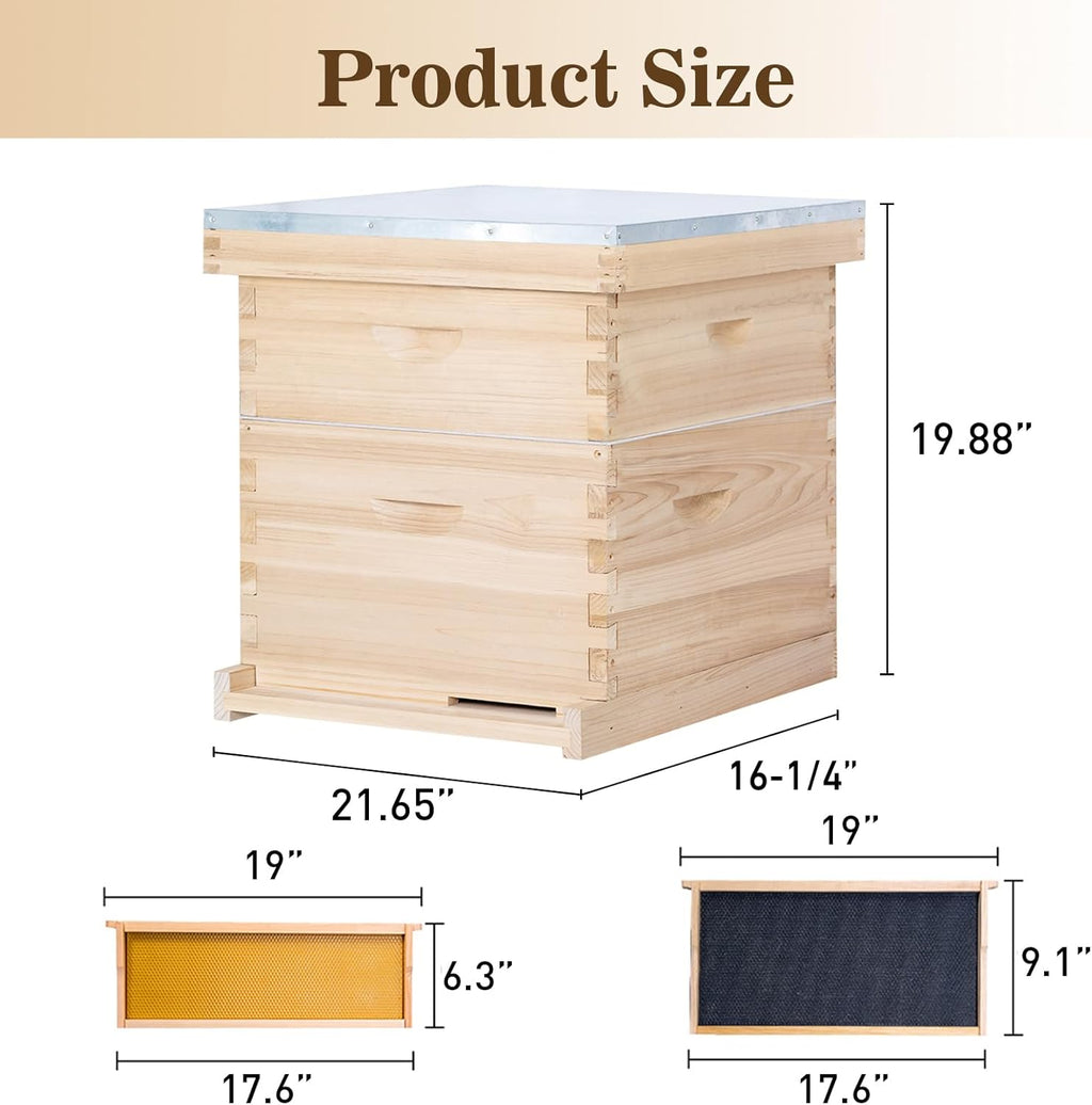 10 Frame Langstroth Bee Hive, Beehive Starter Kit for Beginners with Beehive Frames and Waxed Foundation (1 Deep Box
