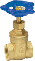 Homewerks VGT-S20-B10B 3-Inch Standard 200 WOG Gate Valve IPS