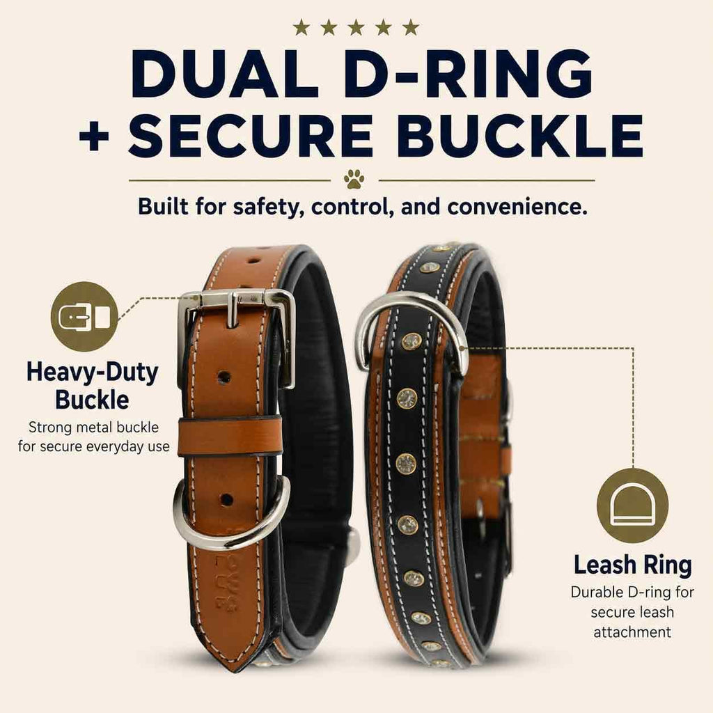 GemForge Duo Leather Dog Collar, Soft Padded, Medium, Brown