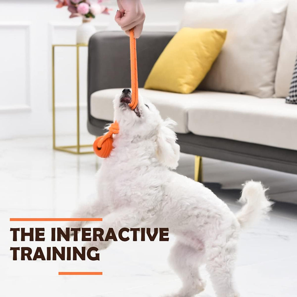 Dog Training Ball on A Rope Rubber Dog Rope Toys Ball with Handle for Tug of War K9 Training Rewards for Belgian