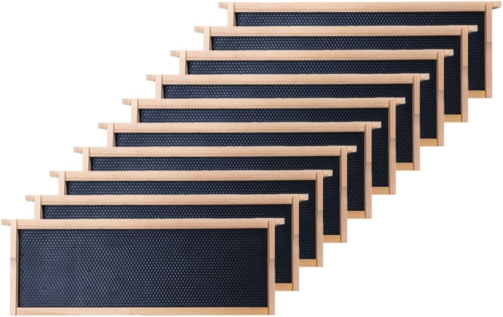 Medium Beehive Frames and Foudations Kit,10 Pack Super Bee Frames with Beeswax Coated Plastic Foundations for