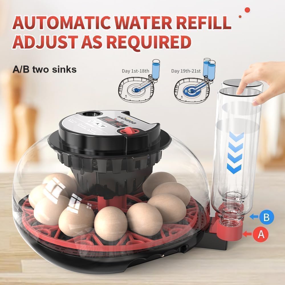 Nest II - 12 Egg Incubator for Beginners, Multi-Level Adaptive Humidity (Auto-Refill & Dual-Bottle) & Stable Temp