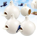 16 Pack Purple Martin Gourds,Martin House Gourds