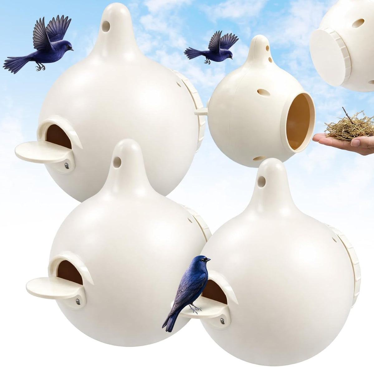 16 Pack Purple Martin Gourds,Martin House Gourds