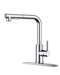 FORIOUS Kitchen Sink Faucet, with Pull Out Sprayer, Single Handle, Chrome