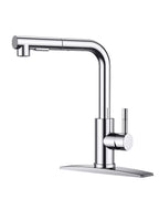 FORIOUS Kitchen Sink Faucet, with Pull Out Sprayer, Single Handle, Chrome