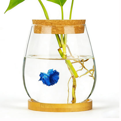 0.5 Gallon Fish Bowl Betta Fish Tank Glass Aquarium with Wood Lid & Bamboo Stand – Hydroponic Plants Planter, Glass