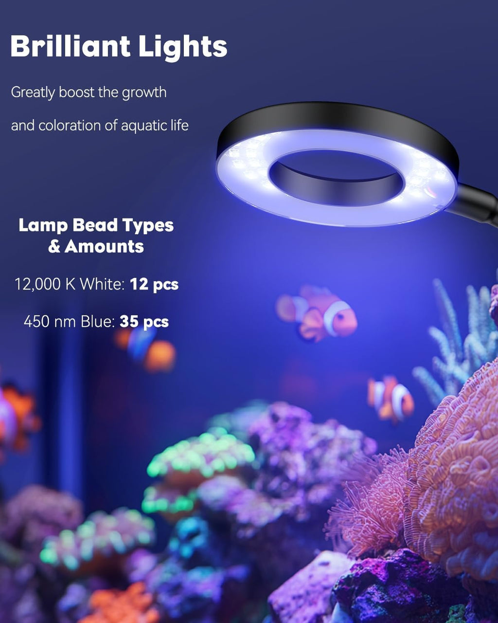 Aquarium Light for 1-3 Gallon Saltwater Fish Tanks, Clip On LED Reef Light for Corals, Dimmable USB Aquarium Lamp