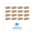 BWK6200 - Multifold Paper Towels