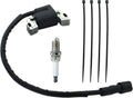 595304 Ignition Coil Magneto Armature for BS 17HP 17.5HP 19.5HP 20HP Intek OHV Lawn Mower Engines With Spark Plug