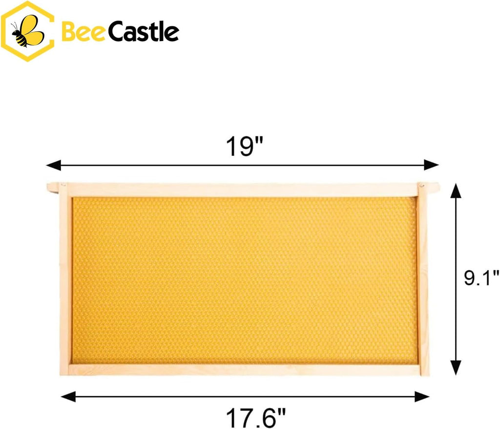 10 Pack Beehive Frames and Wax Foundations for Deep Brood Bee Hives with Honeycombs Wooden Bee Hive Frames and