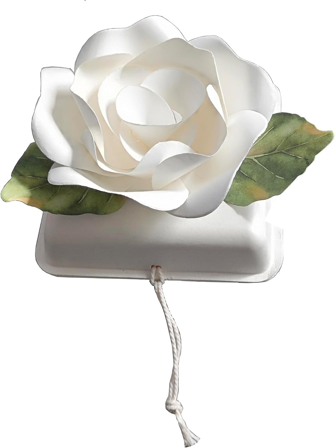 Biodegradable Urn Eco Cremation Urns Ocean Water Burial Scattering Floating Urn for Human Ashes (Small)