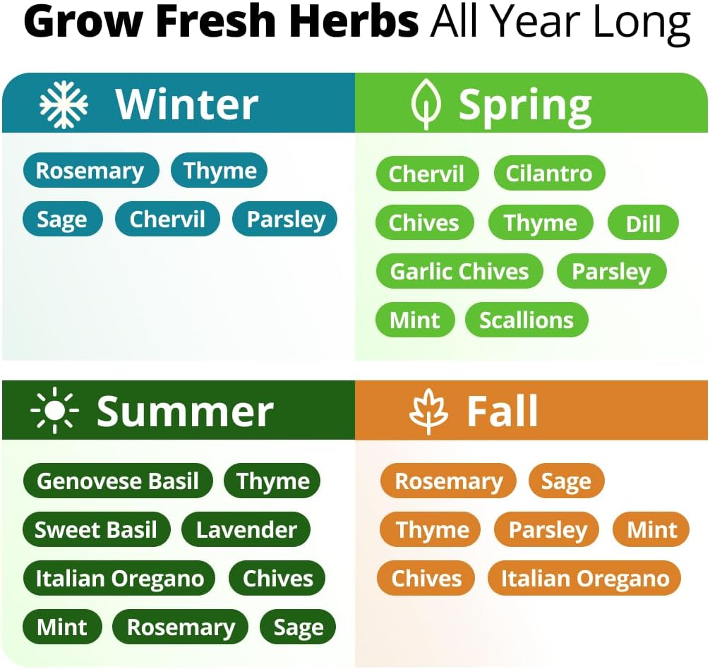 Herb Seeds for Planting 15-Pack Massive Seed Count 4,300+ Seeds Non-GMO Heirloom | Extra Large | Culinary Herb Kit