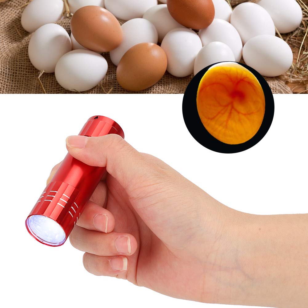 Egg Candler, Cool Light Portable Egg Candling Lamp with High Intensity Light, for Chicken, Goose, Duck, Eggs