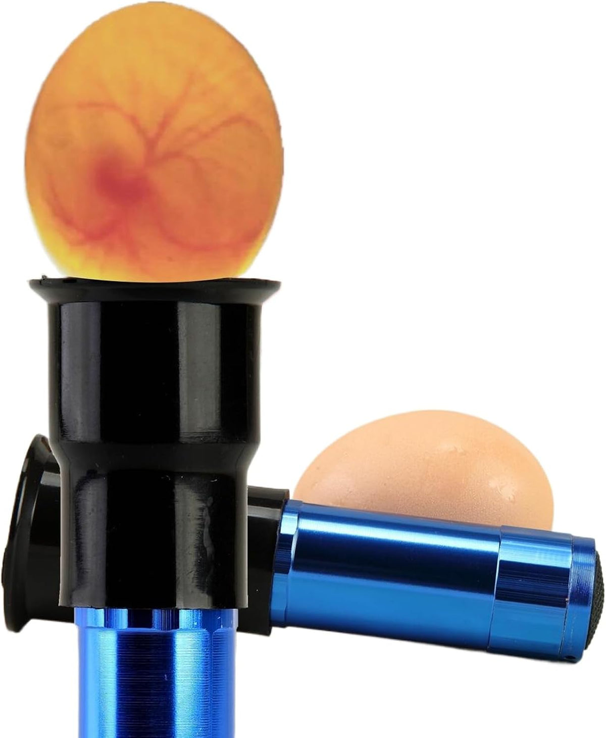 Egg Candler Candling Light Egg Development Tester Flashlight for Chicken Duck and Goose Eggs, 2PCS(Blue)