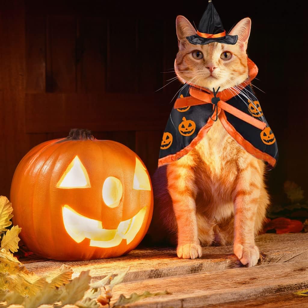 Halloween Cat Costume Cloak Witch Hat Pet Accessories Halloween Adjustable Pumpkin Pet Costumes Clothes Set