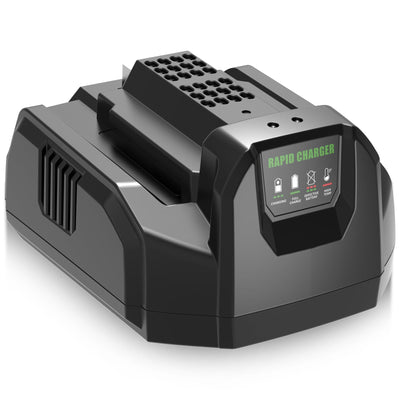 4.0A CH2100 Charger Replacement for EGO 56V Battery Charger(Black)